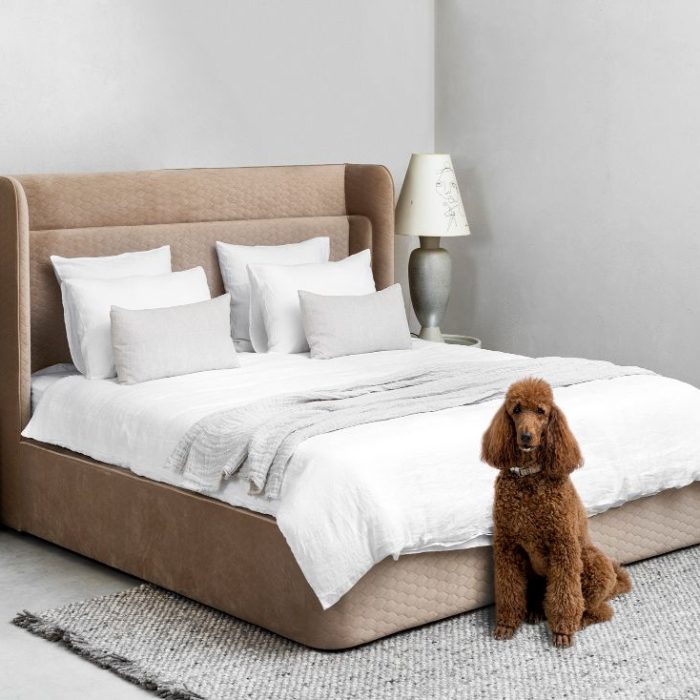 מיטה מעוצבת יוקרתית בכרמי ריהוט יוקרה עם כלב חום
